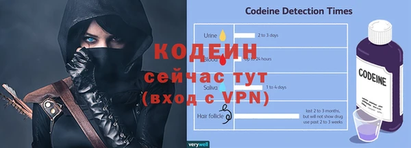 сатива Гусь-Хрустальный