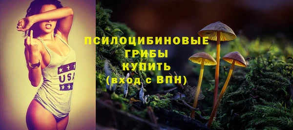ПСИЛОЦИБИНОВЫЕ ГРИБЫ Абинск