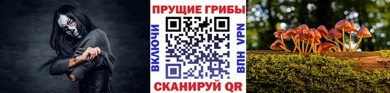 Галлюциногенные грибы прущие грибы  Сычёвка 